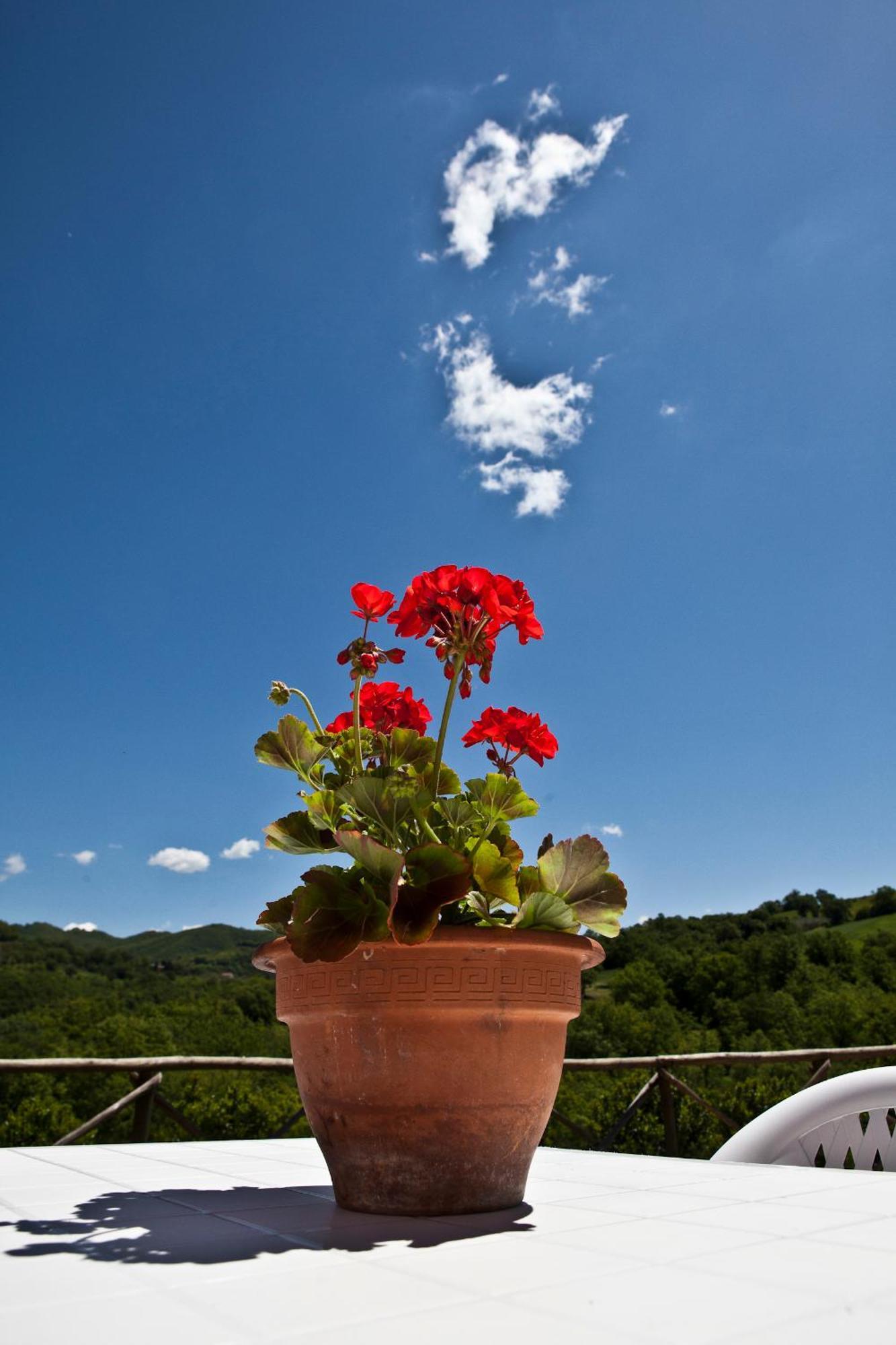 Relais Parco Del Subasio Villa Piano Delle Pieve ภายนอก รูปภาพ