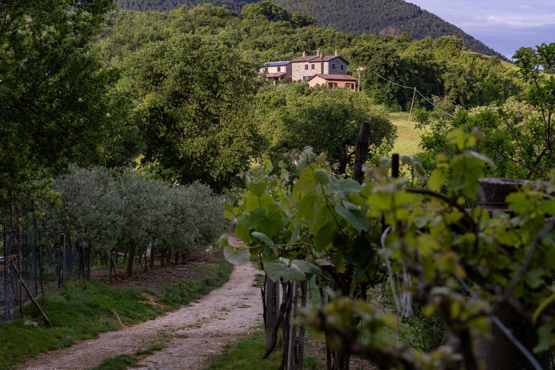 Relais Parco Del Subasio Villa Piano Delle Pieve ภายนอก รูปภาพ